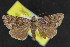  ( - NOC14539)  @11 [ ] Unspecified (default): All Rights Reserved  Unspecified Unspecified