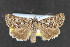  ( - NOC14540)  @11 [ ] Unspecified (default): All Rights Reserved  Unspecified Unspecified