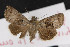  ( - NOC14541)  @13 [ ] Unspecified (default): All Rights Reserved  Unspecified Unspecified