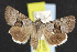  ( - NOC14543)  @12 [ ] Unspecified (default): All Rights Reserved  Unspecified Unspecified
