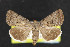  ( - NOC14544)  @13 [ ] Unspecified (default): All Rights Reserved  Unspecified Unspecified