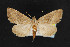  ( - NOC14548)  @13 [ ] Unspecified (default): All Rights Reserved  Unspecified Unspecified
