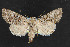  ( - NOC14585)  @13 [ ] Unspecified (default): All Rights Reserved  Unspecified Unspecified