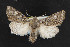  ( - NOC14586)  @14 [ ] Unspecified (default): All Rights Reserved  Unspecified Unspecified