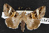  ( - NOC14587)  @14 [ ] Unspecified (default): All Rights Reserved  Unspecified Unspecified