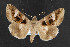  ( - NOC14589)  @13 [ ] Unspecified (default): All Rights Reserved  Unspecified Unspecified