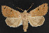  ( - NOC14590)  @14 [ ] Unspecified (default): All Rights Reserved  Unspecified Unspecified