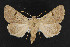  ( - NOC14591)  @13 [ ] Unspecified (default): All Rights Reserved  Unspecified Unspecified