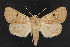  ( - NOC14592)  @14 [ ] Unspecified (default): All Rights Reserved  Unspecified Unspecified