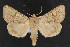  ( - NOC14593)  @14 [ ] Unspecified (default): All Rights Reserved  Unspecified Unspecified