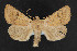  ( - NOC14594)  @14 [ ] Unspecified (default): All Rights Reserved  Unspecified Unspecified