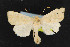  ( - NOC14604)  @11 [ ] Unspecified (default): All Rights Reserved  Unspecified Unspecified