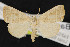  ( - NOC14611)  @14 [ ] Unspecified (default): All Rights Reserved  Unspecified Unspecified