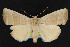  ( - NOC14613)  @14 [ ] Unspecified (default): All Rights Reserved  Unspecified Unspecified