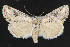  ( - NOC14620)  @14 [ ] Unspecified (default): All Rights Reserved  Unspecified Unspecified