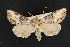  ( - NOC14629)  @14 [ ] Unspecified (default): All Rights Reserved  Unspecified Unspecified