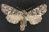  ( - NOC14642)  @14 [ ] Unspecified (default): All Rights Reserved  Unspecified Unspecified