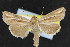  ( - NOC14649)  @14 [ ] Unspecified (default): All Rights Reserved  Unspecified Unspecified