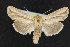  ( - NOC14652)  @14 [ ] Unspecified (default): All Rights Reserved  Unspecified Unspecified