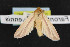  ( - NOC14653)  @12 [ ] Unspecified (default): All Rights Reserved  Unspecified Unspecified