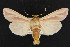  ( - NOC14654)  @14 [ ] Unspecified (default): All Rights Reserved  Unspecified Unspecified