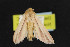  ( - NOC14657)  @13 [ ] Unspecified (default): All Rights Reserved  Unspecified Unspecified