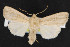  ( - NOC14662)  @12 [ ] Unspecified (default): All Rights Reserved  Unspecified Unspecified