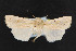  ( - NOC14664)  @11 [ ] Unspecified (default): All Rights Reserved  Unspecified Unspecified