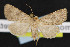  ( - NOC14674)  @13 [ ] Unspecified (default): All Rights Reserved  Unspecified Unspecified