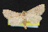  ( - NOC14675)  @11 [ ] Unspecified (default): All Rights Reserved  Unspecified Unspecified