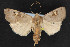  ( - NOC14698)  @13 [ ] Unspecified (default): All Rights Reserved  Unspecified Unspecified