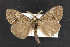  ( - NOC14720)  @13 [ ] Unspecified (default): All Rights Reserved  Unspecified Unspecified