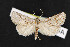  ( - NOC14721)  @14 [ ] Unspecified (default): All Rights Reserved  Unspecified Unspecified