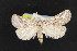  ( - NOC14722)  @14 [ ] Unspecified (default): All Rights Reserved  Unspecified Unspecified