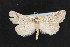  ( - NOC14723)  @14 [ ] Unspecified (default): All Rights Reserved  Unspecified Unspecified