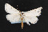  ( - NOC14725)  @14 [ ] Unspecified (default): All Rights Reserved  Unspecified Unspecified