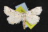  ( - NOC14726)  @14 [ ] Unspecified (default): All Rights Reserved  Unspecified Unspecified