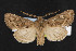  ( - NOC14727)  @11 [ ] Unspecified (default): All Rights Reserved  Unspecified Unspecified