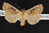  ( - NOC14732)  @13 [ ] Unspecified (default): All Rights Reserved  Unspecified Unspecified