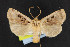  ( - NOC14733)  @12 [ ] Unspecified (default): All Rights Reserved  Unspecified Unspecified