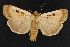  ( - NOC14735)  @13 [ ] Unspecified (default): All Rights Reserved  Unspecified Unspecified