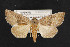  ( - NOC14738)  @13 [ ] Unspecified (default): All Rights Reserved  Unspecified Unspecified
