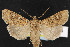  ( - NOC14763)  @12 [ ] Unspecified (default): All Rights Reserved  Unspecified Unspecified