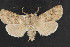  ( - NOC14765)  @12 [ ] Unspecified (default): All Rights Reserved  Unspecified Unspecified