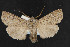  ( - NOC14766)  @13 [ ] Unspecified (default): All Rights Reserved  Unspecified Unspecified
