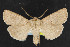  ( - NOC14767)  @14 [ ] Unspecified (default): All Rights Reserved  Unspecified Unspecified