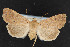  ( - NOC14790)  @13 [ ] Unspecified (default): All Rights Reserved  Unspecified Unspecified