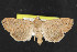  ( - NOC14791)  @14 [ ] Unspecified (default): All Rights Reserved  Unspecified Unspecified