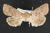  ( - NOC14792)  @14 [ ] Unspecified (default): All Rights Reserved  Unspecified Unspecified