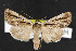  ( - NOC14798)  @13 [ ] Unspecified (default): All Rights Reserved  Unspecified Unspecified